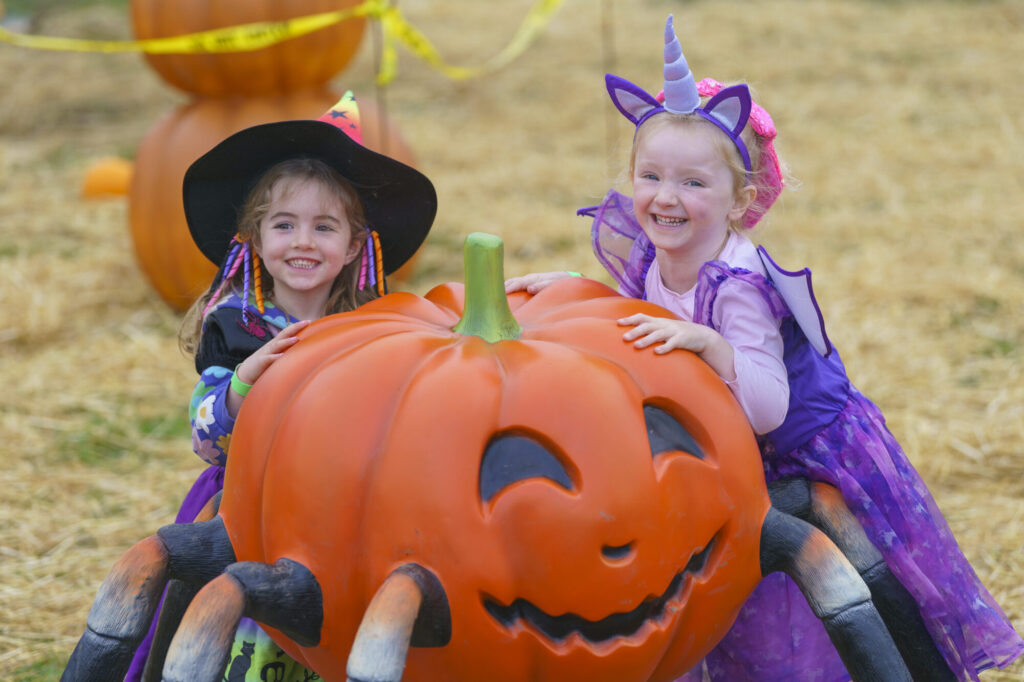 Image name YWP Lets Go Halloween 032 the 19 image from the post What's On For Halloween At Yorkshire Wildlife Park? in Yorkshire.com.