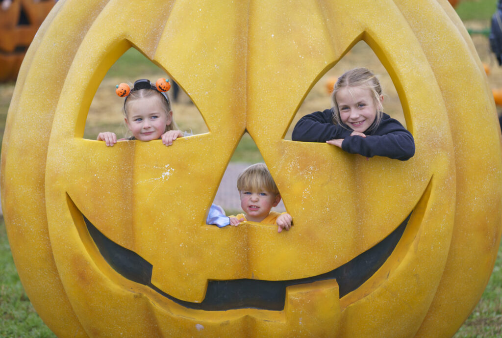 Image name YWP Lets Go Halloween 043 the 22 image from the post What's On For Halloween At Yorkshire Wildlife Park? in Yorkshire.com.
