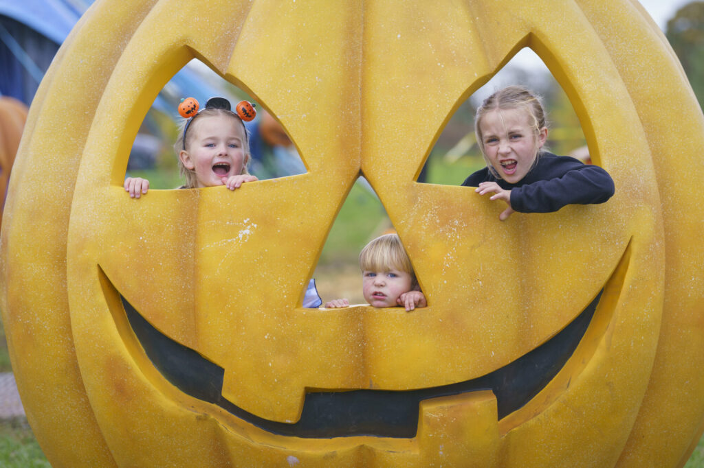 Image name YWP Lets Go Halloween 044 the 23 image from the post What's On For Halloween At Yorkshire Wildlife Park? in Yorkshire.com.