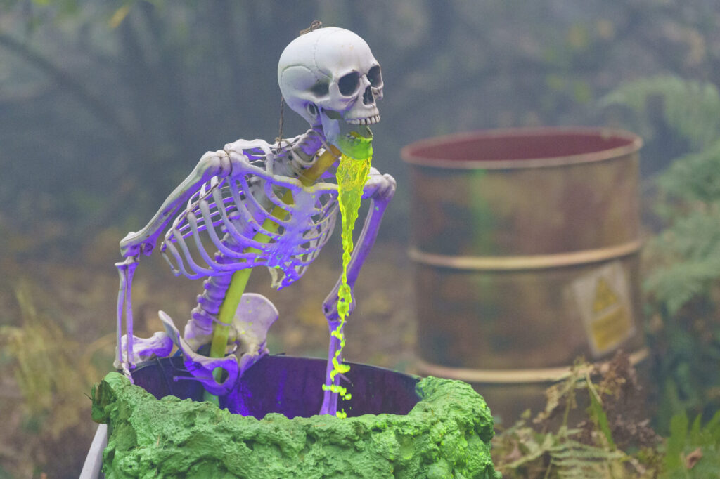 Image name YWP Lets Go Halloween 117 the 31 image from the post What's On For Halloween At Yorkshire Wildlife Park? in Yorkshire.com.