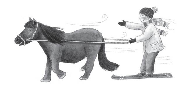 What Is The New Amanda Owen Christmas Book For Children From Puffin? Post image 2 Image name image007 1 the 1 image from the post What Is The New Amanda Owen Christmas Book For Children From Puffin? in Yorkshire.com.