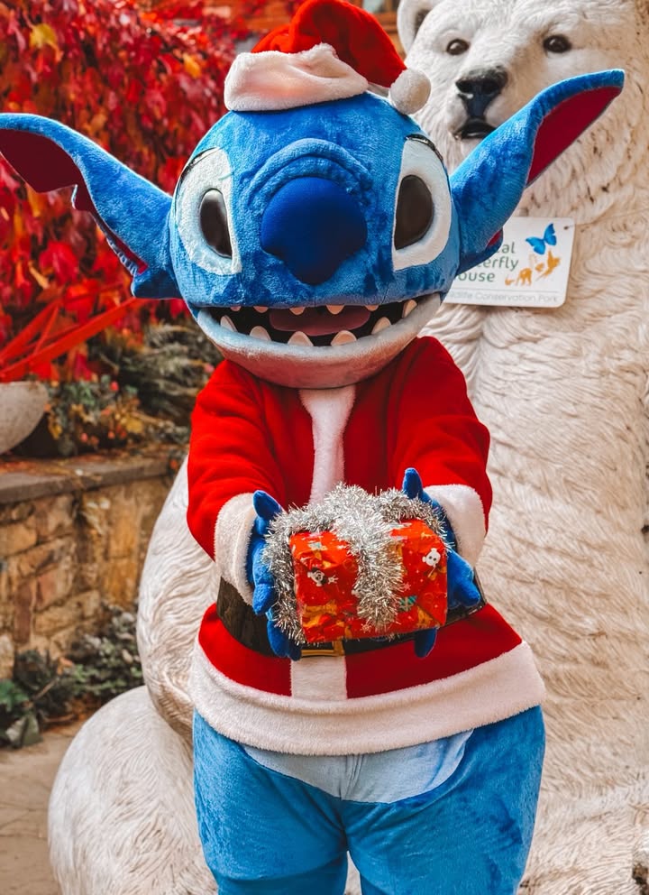 Meet Christmas Characters in South Yorkshire This Christmas? Post image 8 Image name 557619019 3745164515613913 5560337281180497953 n 1 the 8 image from the post Meet Christmas Characters in South Yorkshire This Christmas? in Yorkshire.com.