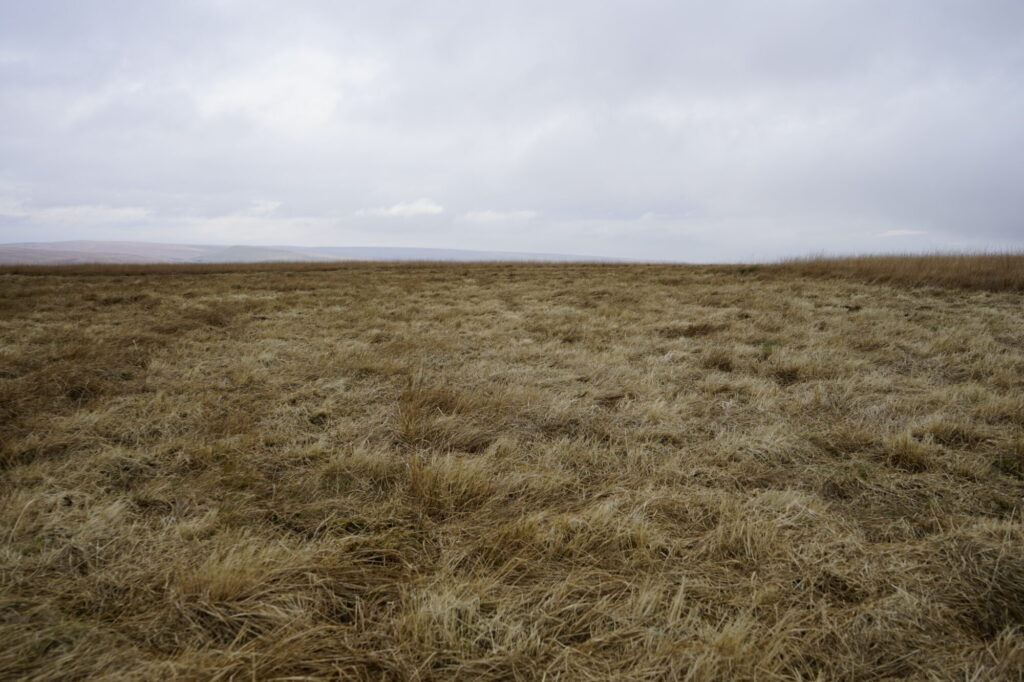 National Trust Restoration Project on Marsden Moor Post image 4 Image name DSC0935 the 4 image from the post National Trust Restoration Project on Marsden Moor in Yorkshire.com.