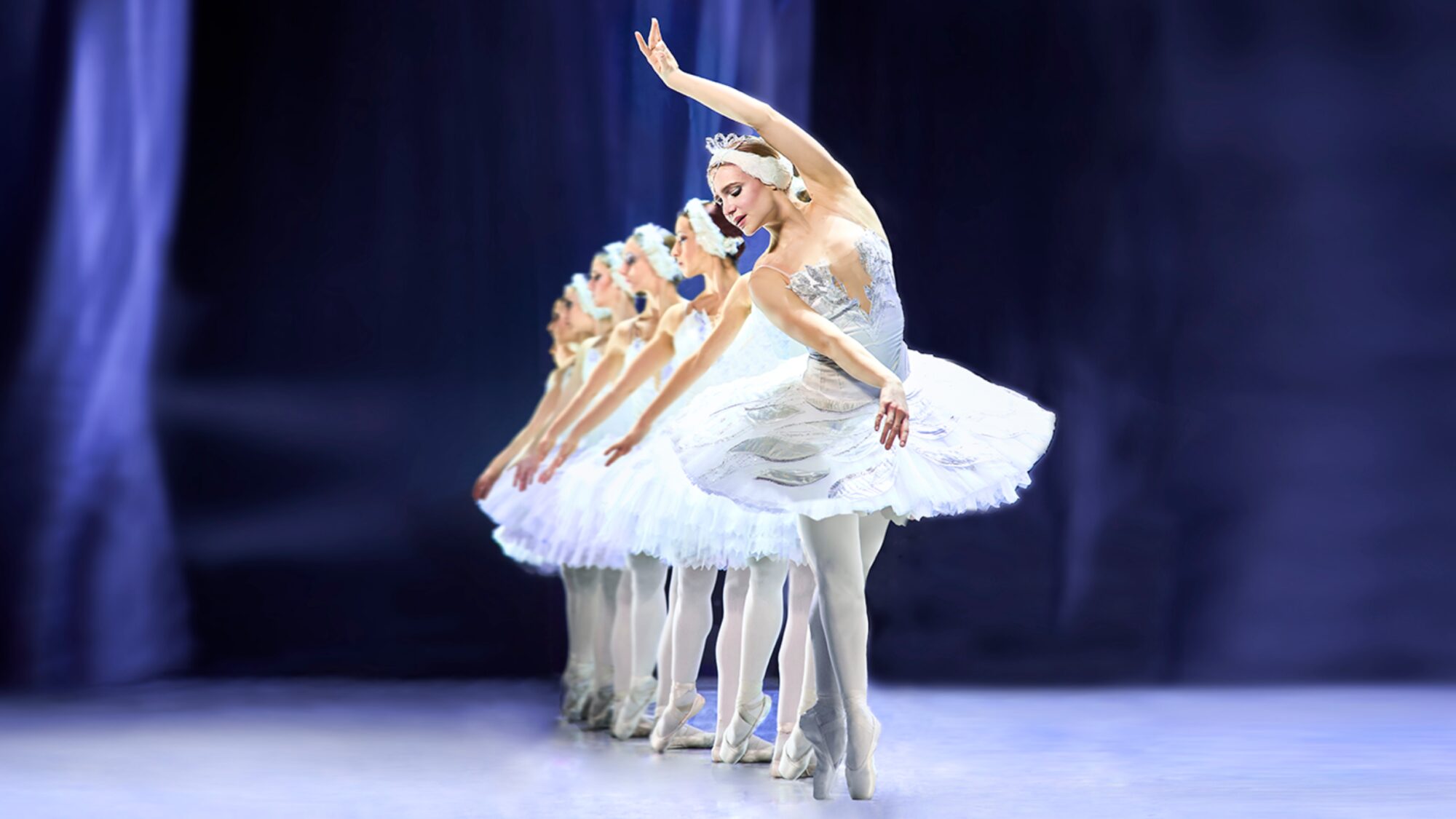 Newsletter: Sunday 2nd November 2025 Post image 3 Image name Swan Lake at Sheffield City Hall Oval Hall Sheffield the 3 image from the post Newsletter: Sunday 2nd November 2025 in Yorkshire.com.