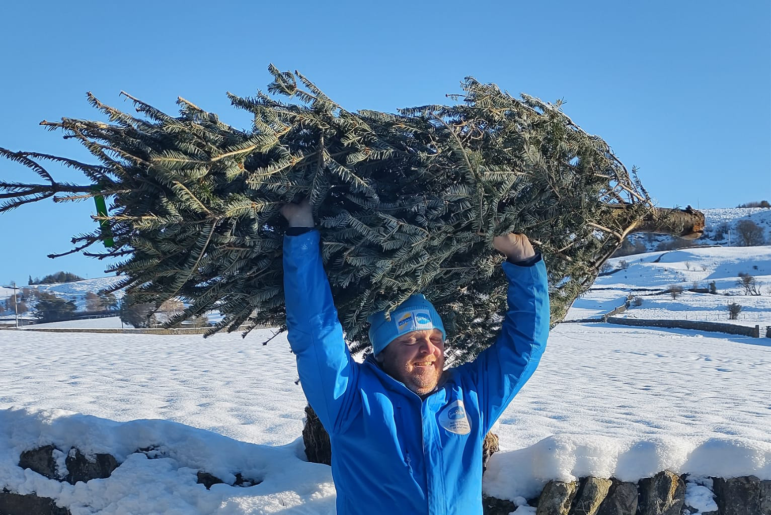 Image name Sue Ryder Christmas Treecycling Airedale Wharfedale and the Dales featured the 2 image from the post How To Recycle Your Christmas Tree In West Yorkshire And Support The Sue Ryder Charity in Yorkshire.com.